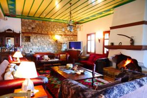 Piána帕帕尼可拉酒店的带沙发和石制壁炉的客厅