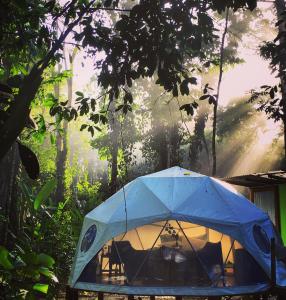 曼萨尼约Faith Glamping Dome Costa Rica的森林中间的蓝色帐篷