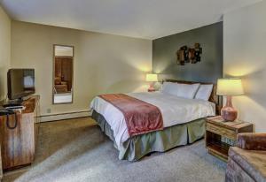 伊格尔里弗Lake Forest Resort的酒店客房,配有床和电视