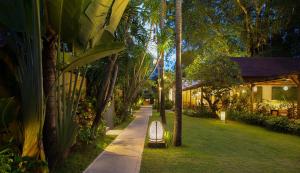 勒吉安Alaya Dedaun Kuta的一条棕榈树的小径,在院子里的长凳