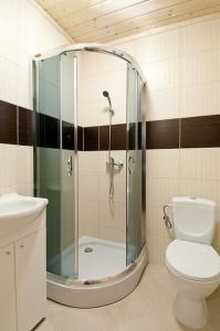 达尔沃沃Delfinek的带淋浴和卫生间的浴室