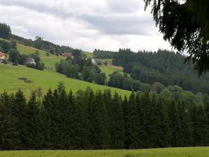 蒂蒂湖-新城Pension Forsthaus Täle的享有绿树成荫的山丘美景