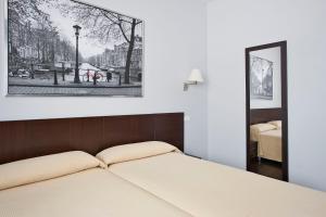 哈拉马河畔帕拉库埃略斯T4旅馆的一间卧室配有一张床和镜子