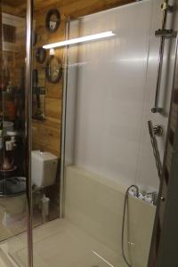 诺让莱罗特鲁Chambre d'Hôtes "Orchidees"的带淋浴的浴室和玻璃门