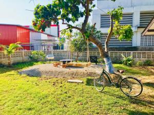 清莱Winter House Chiang Rai的停在树旁的自行车停在院子
