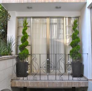 墨西哥城商务套房SG酒店的阳台拥有两株盆栽植物和窗户