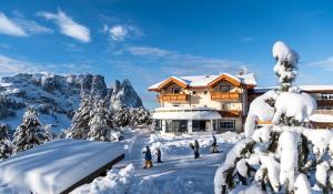 冬天的Hotel Rosa Eco Alpine Spa Resort