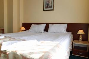 乌斯特卡Hotel Aleksander的一间卧室配有一张带白色床单的大床
