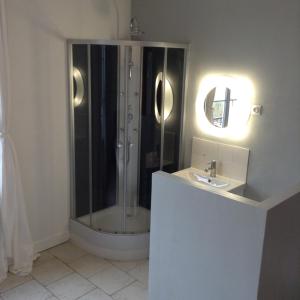 圣艾尼昂Chambres d'Hôtes Les Bords du Cher的带淋浴和盥洗盆的浴室
