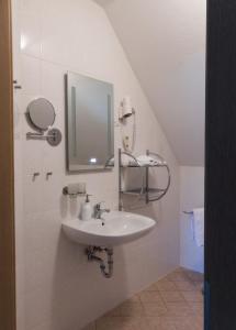 费茨肖苏姆斯拉文客栈的一间带水槽和镜子的浴室