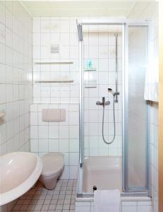 BirgelHotel Garni Assion的带淋浴、卫生间和盥洗盆的浴室
