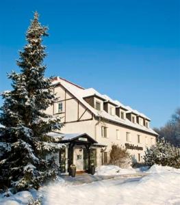 肖林慕勒豪斯海景酒店的一座大建筑,雪中有一棵圣诞树