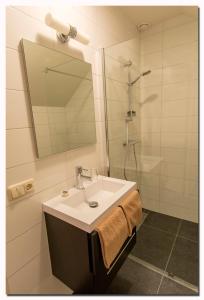 欧维恩拉克B&B, Brasserie Lakerhof的浴室配有盥洗盆和带镜子的淋浴