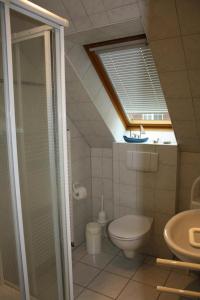 卡罗利嫩西尔Ferienwohnung Mühlenblick 3的带淋浴的浴室以及带天窗的卫生间。