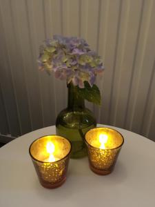 SchijndelWeibos Bed & Breakfast的一张桌子,上面有两根蜡烛和一个花瓶