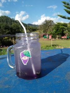 Pang Ung梦度假民宿的装有草的紫色液体罐