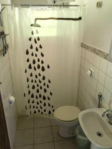 圣罗克迪米纳斯Pousada Estância Macaúbas -的带淋浴、卫生间和盥洗盆的浴室