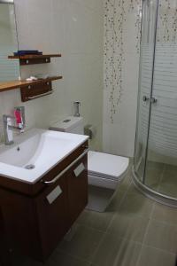 巴勒贝克卡纳安集团酒店的浴室配有卫生间、盥洗盆和淋浴。