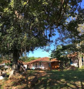 巴里查拉Finca San Pedro的前面有一棵树的房子
