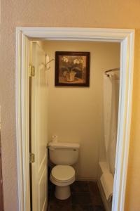 隆派恩Whitney Portal Hotel And Hostel的一间带卫生间的浴室和墙上的照片