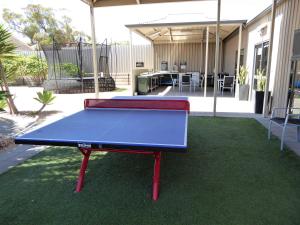 Streaky Bay斑斑海湾旅馆和别墅 的坐在院子里的一张蓝色乒乓球桌