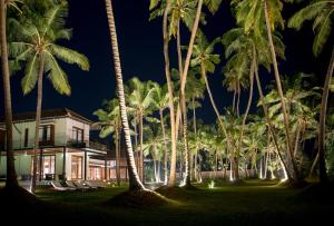 瓦都瓦The Villa by Contemporary Ceylon的棕榈树环绕的度假屋