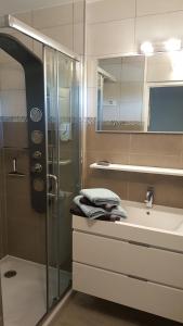 沙特拉永普拉日Résidence TROUVILLE的带淋浴和盥洗盆的浴室