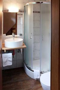 伊瑟隆Hotel Peiler Garni的一间带水槽和淋浴的浴室