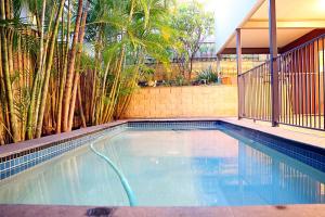 黄金海岸Spacious House in Heart of Surfers Paradise的棕榈树后院的游泳池