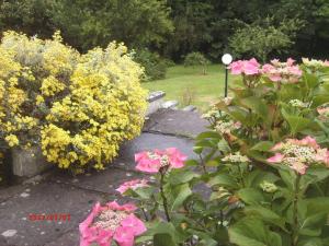 恩尼斯泰蒙SunnySide-Cottage的花园中种有粉红色和黄色的花卉,街道灯