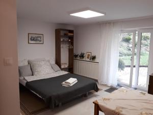 克拉科夫Studio的一间卧室设有一张床和一个大窗户