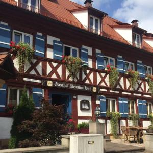 齐恩多夫Hotel-Gasthof Bub的旁边是种盆栽植物的建筑