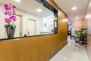 波尔图波尔图圣克拉拉旅馆的医院的走廊,带紫色花瓶