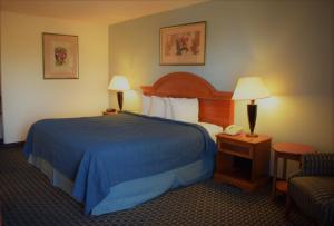 丹顿Texas Inn & Suites的酒店客房配有一张带蓝色毯子的大床