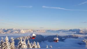 ThierbachBerggasthof Schatzbergalm的山上滑雪缆车上的2辆缆车