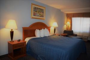丹顿Texas Inn & Suites的酒店客房,配有一张带蓝色毯子的床