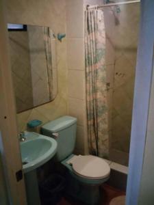 伊基克Hotel Rozal Spa Iquique的浴室配有卫生间、盥洗盆和淋浴。
