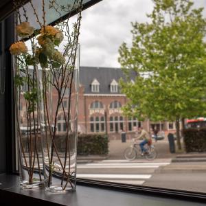 罗森达尔中心酒店的花瓶装满鲜花,坐在窗台上