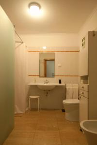 塞辛布拉Casa da Tia Matilde的一间带水槽、卫生间和镜子的浴室