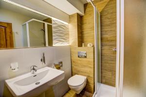 利托斯基简斯特拉尚夫卡让斯卡考利巴酒店的一间带水槽、卫生间和淋浴的浴室