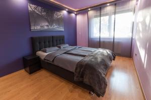 布达佩斯布达佩斯迷你风格公寓 - 你会爱上它！的一间卧室配有一张紫色墙壁和窗户的床