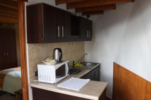 Chiloe Domos的厨房或小厨房