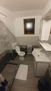 格拉博瓦茨帕夫里克旅馆的一间带卫生间和水槽的浴室