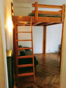尼斯尼斯中心梅德森公寓的客房内的双层床,带梯子