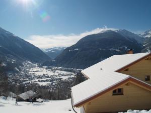 巴托洛梅贝格Haus grüner Wald的一座山地建筑的雪盖屋顶