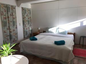 KantensTheaterwerkplaats private appartment的一间卧室配有一张带两个蓝色枕头的床