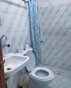 瓦迪穆萨佩特拉门大酒店 的一间带卫生间和水槽的浴室