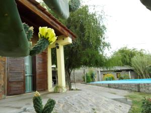圣奥古斯汀镇Parador La Rosita的仙人掌在带游泳池的房子前