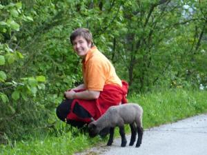 兰格尔斯道夫Ferien-am-Bauernhof-Wohnung-2的一只小男孩在路边 ⁇ 着一只羊 ⁇ 