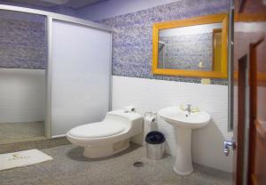 马尔多纳多港Copasu Hotel的一间带卫生间和水槽的浴室